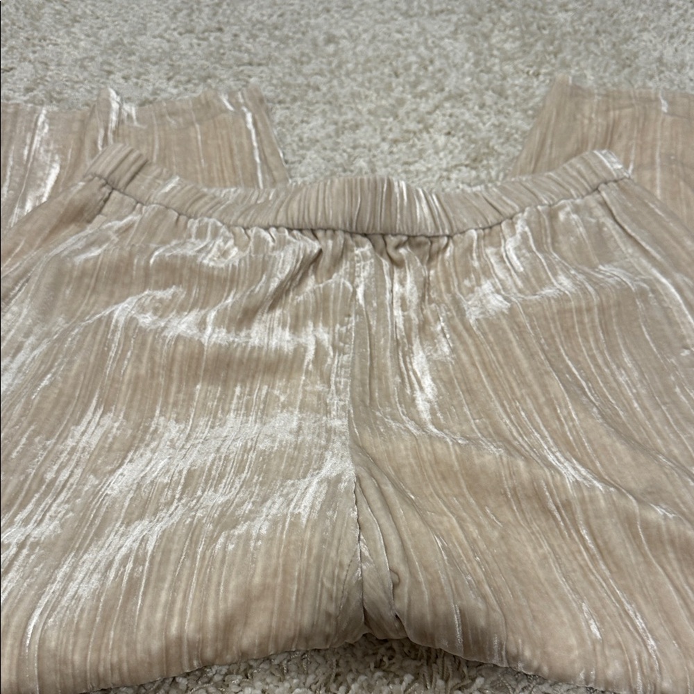 NWT Eileen Fisher crushed Velvet pants ELASTIC waist size large